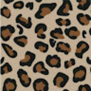 Meet your Posher, Leesa